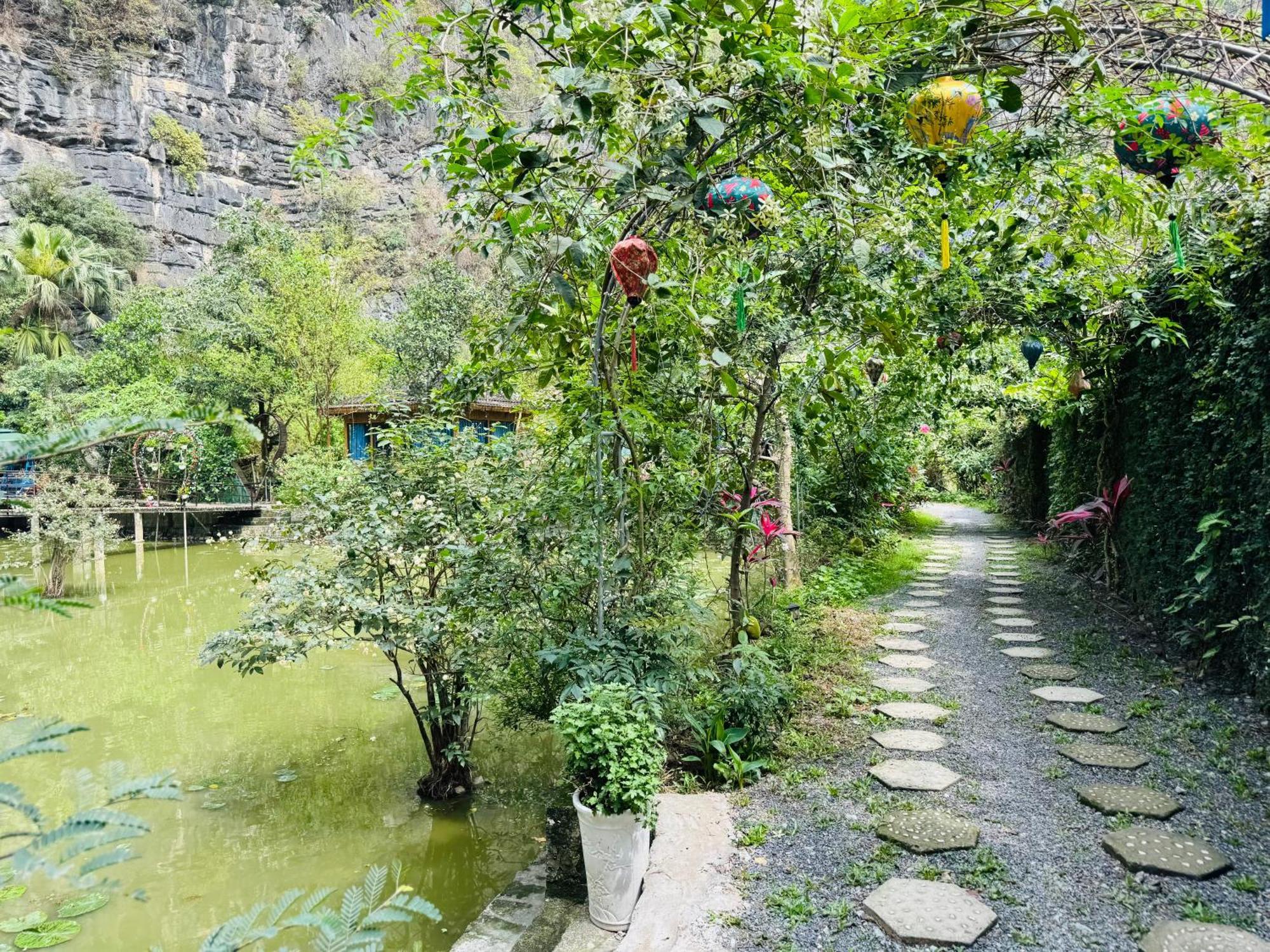 Green Valley Homestay - Thung Lung Xanh Nguyen Ngoai Exteriér fotografie